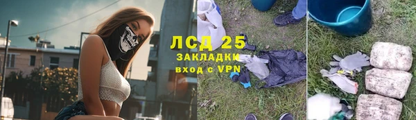 прущие крисы Рославль