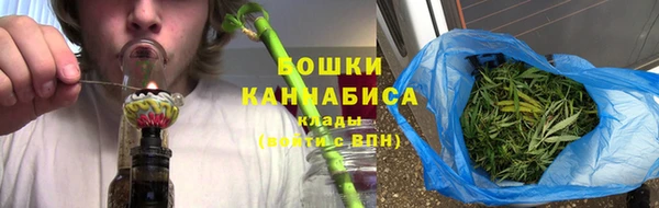 прущие крисы Рославль
