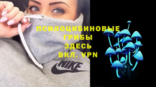 Альфа ПВП Балахна
