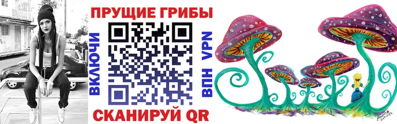 мега ССЫЛКА  как найти закладки  Черняховск  Галлюциногенные грибы Cubensis 
